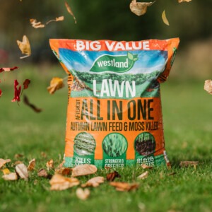 aftercut all in one autumn on grass with leaves