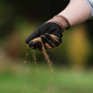 aftercut all in one autumn in hand