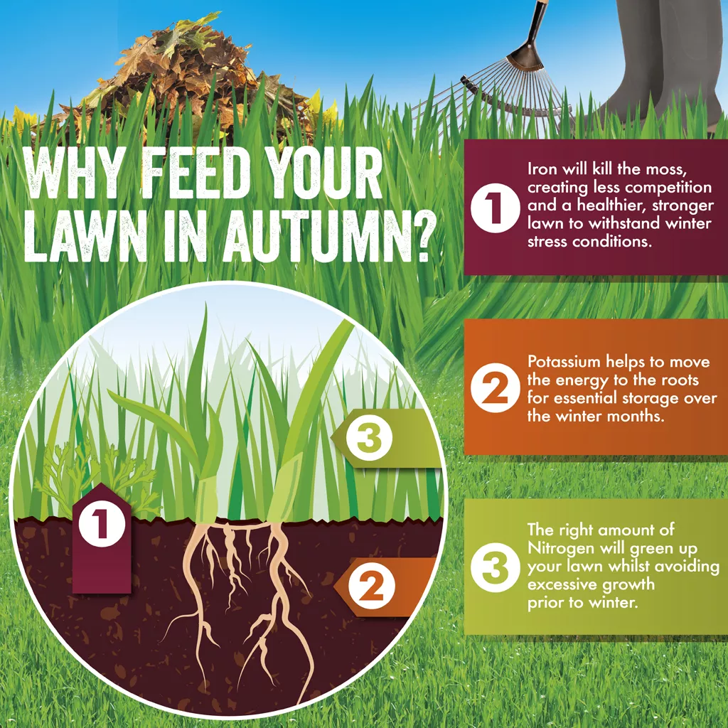 Autumn sales feed lawn