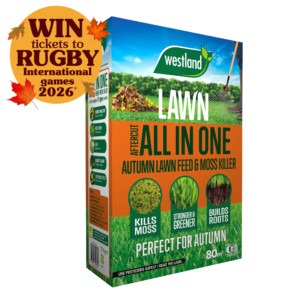 Aftercut All In One Autumn