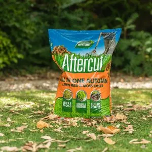 aftercut all in one autumn