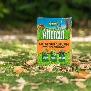 aftercut all in one autumn