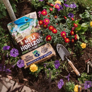 westland new horizon all plant compost 10l