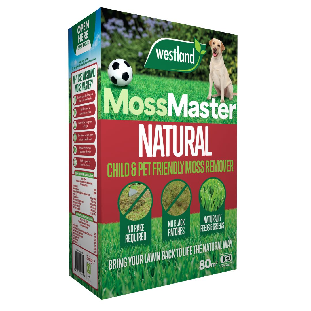 Westland MossMaster