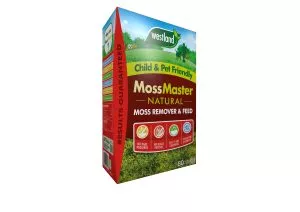 moss master scarifying lawn