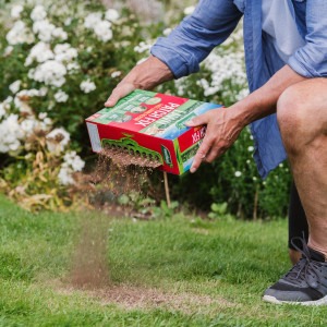 westland lawn patch fix 32 patch