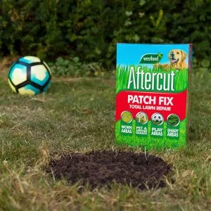 aftercut patch fix on lawn next to patch