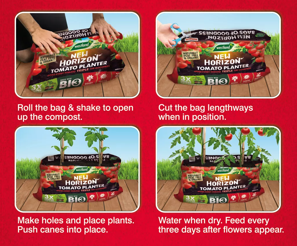 New horizon tomato planter infographic