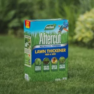 lawn thickener