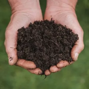 New Horizon all plant peat free compost in use