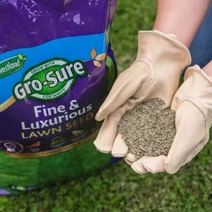 gro sure fine & lux lawn seed 100m2 bag