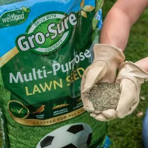 gro-sure multi-purpose lawn seed 120m on lawn