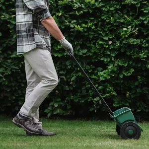 lawn drop spreader in use