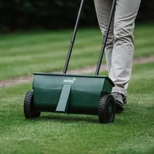 lawn drop spreader in use