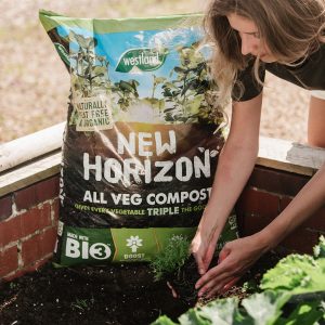 new horizon all veg compost veg being planted