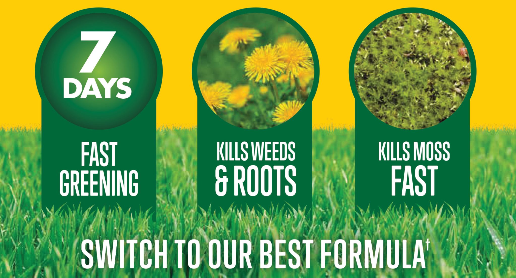 Aftercut Lawn Feed Weed & Moss Killer Lawn Care Westland Garden Health