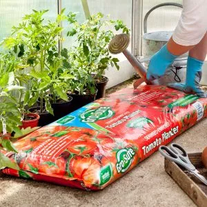 Gro-Sure Tomato Planter