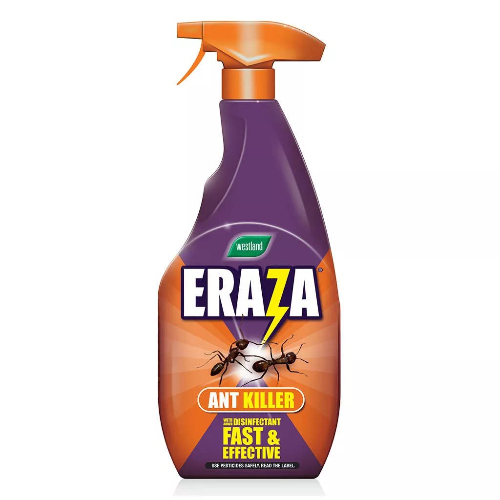 'Eraza Ant RTU Eraza Ant RTU