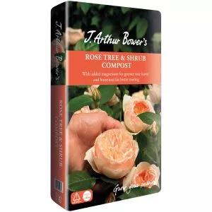 J. Arthur Bower's Rose