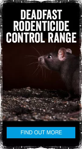 Deadfast Catch & Release Mouse Traps - Rat Control - Garden Health