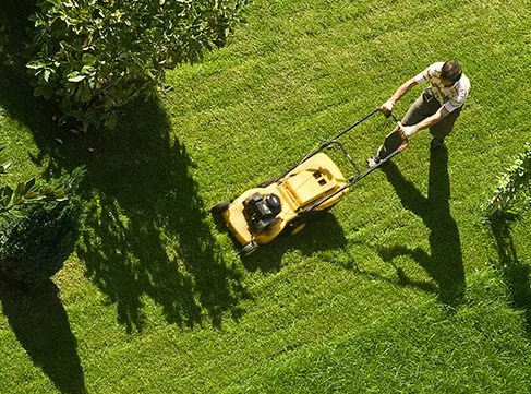 lawn mowing