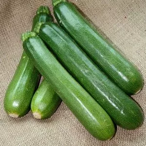 courgette harvest