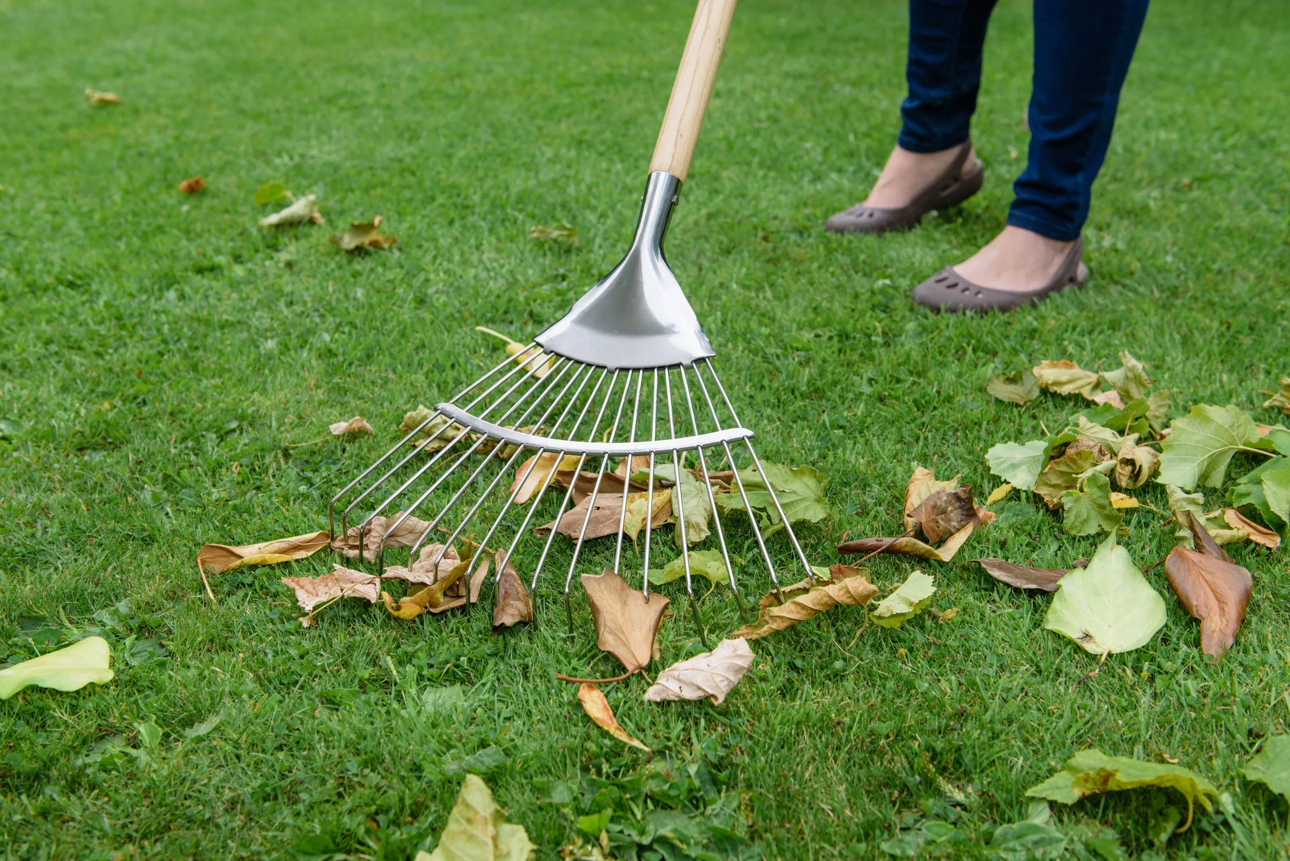 ks lawn and leaf rake