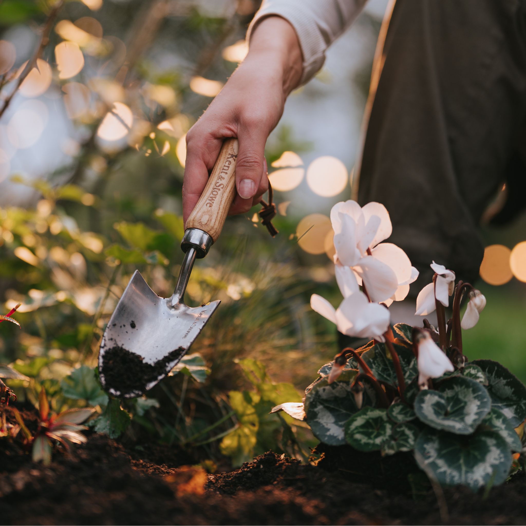 plant winter bedding