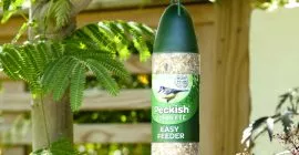 Where to Put Your Bird Feeder