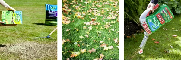 Three images, sowing a lawn, autumn leaves on a lawn and using Aftercut Autumn All in One.