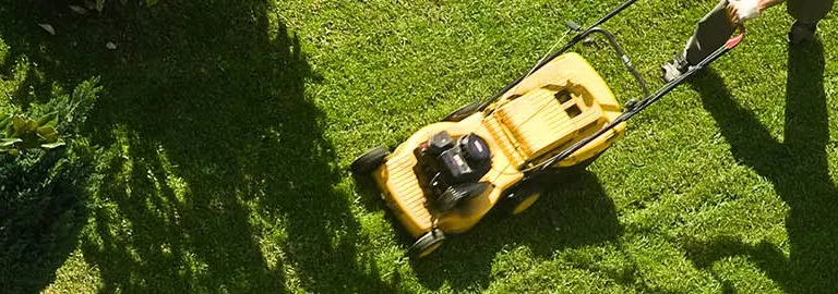 service lawnmower