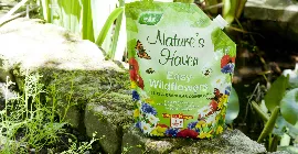 Natures Haven Easy Wildflowers lifestyle