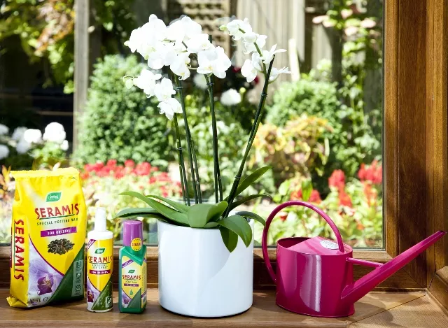 Image of Seramis Orchid Food, Seramis Potting Mix and Seramis Leaf Spray in front of orchid on a sunny windowsill.