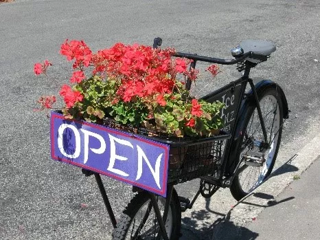 flowering container ideas