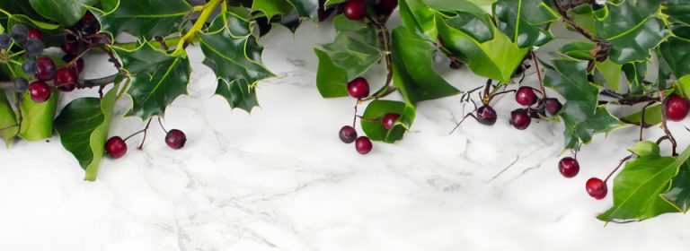 christmas banner