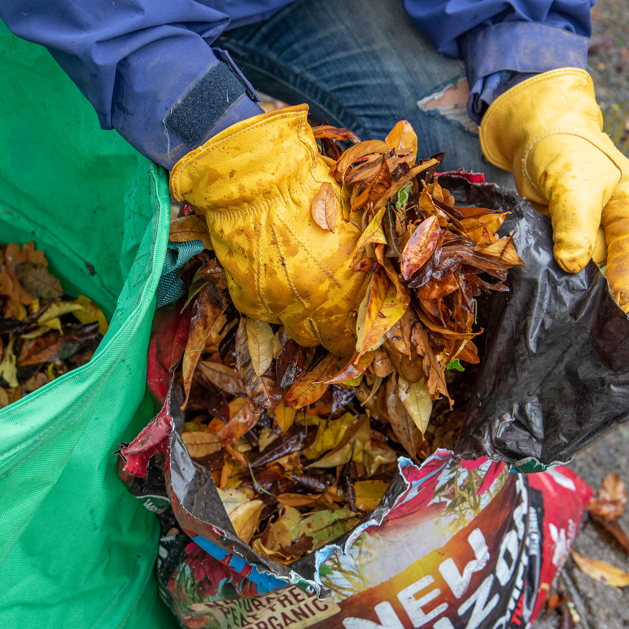 how to make a leaf mould november gardening