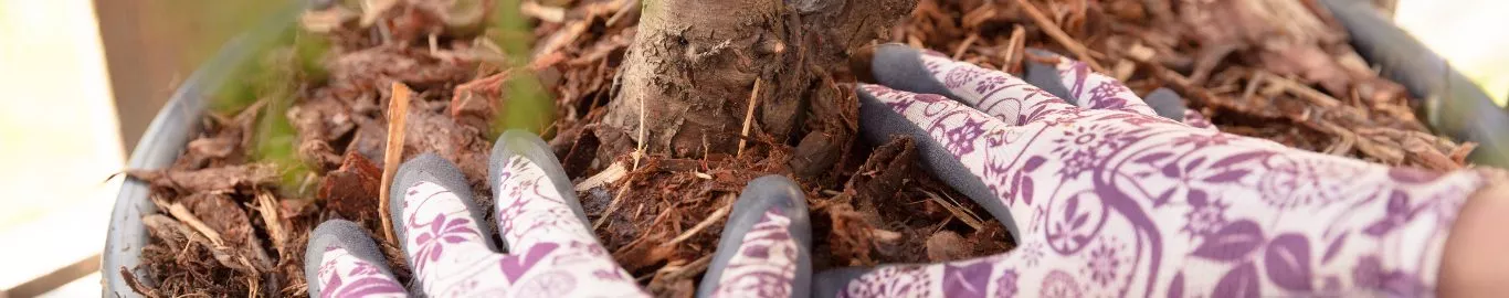 mulching
