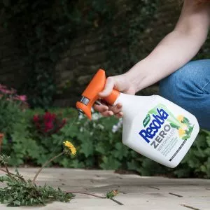 Resolva Zero Weedkiller Ready To Use in use