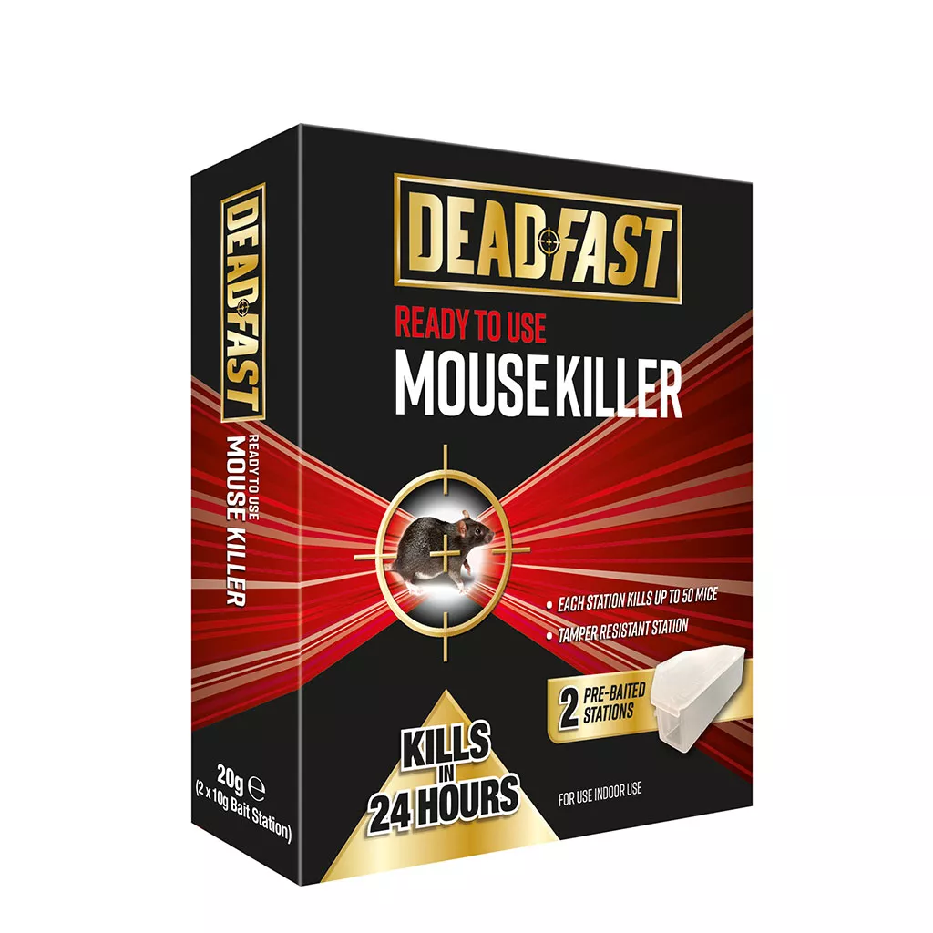 Deadfast Kill Vault Mouse Traps - Pests & Diseases - Westland