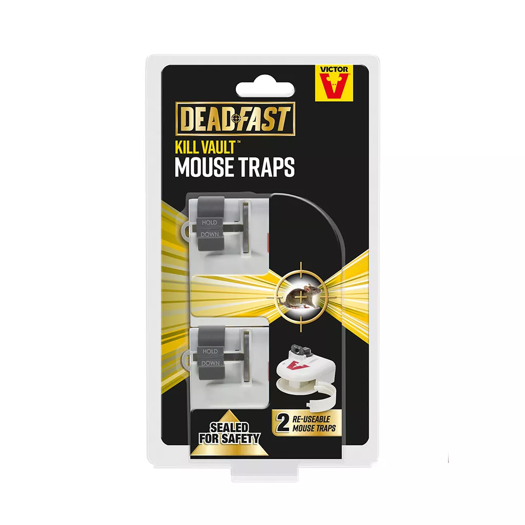 How To Use Deadfast Catch & Release Mouse Trap 