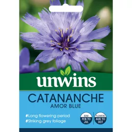 Unwins Catananche Amor Blue