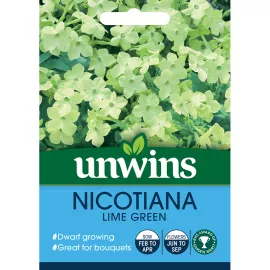 Unwins Nicotiana Lime Green