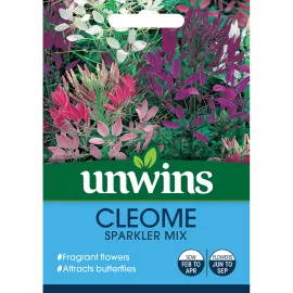 Unwins Cleome Sparkler Mix
