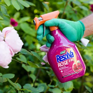 Resolva Rose 3 in 1 Bug Killer in use