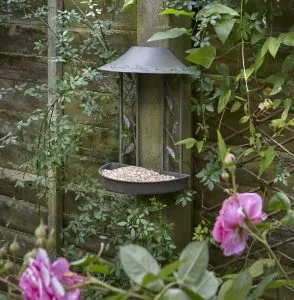 Peckish Secret Garden Wall Hanging Bird Table lifestyle