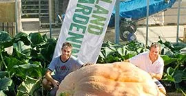 174 Stone Pumpkin is a World Record Holder