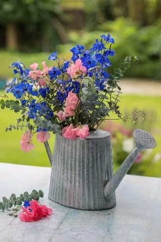 flowers planted in watering can