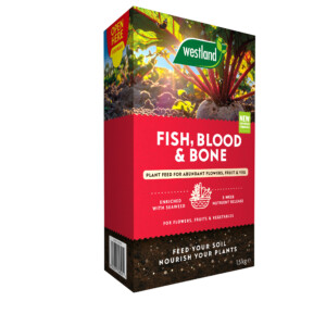 fish blood and bone