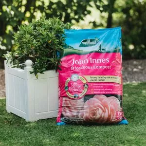 john innes ericaceous compost 25 litre