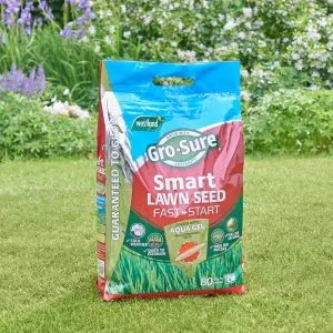 fast start smart seed